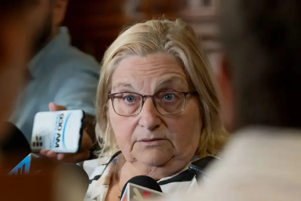 Senadora Graciela Bianchi durante su declaración en stream